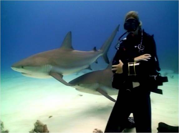 Mergulho com tubarões feito em Nassau - Bahamas